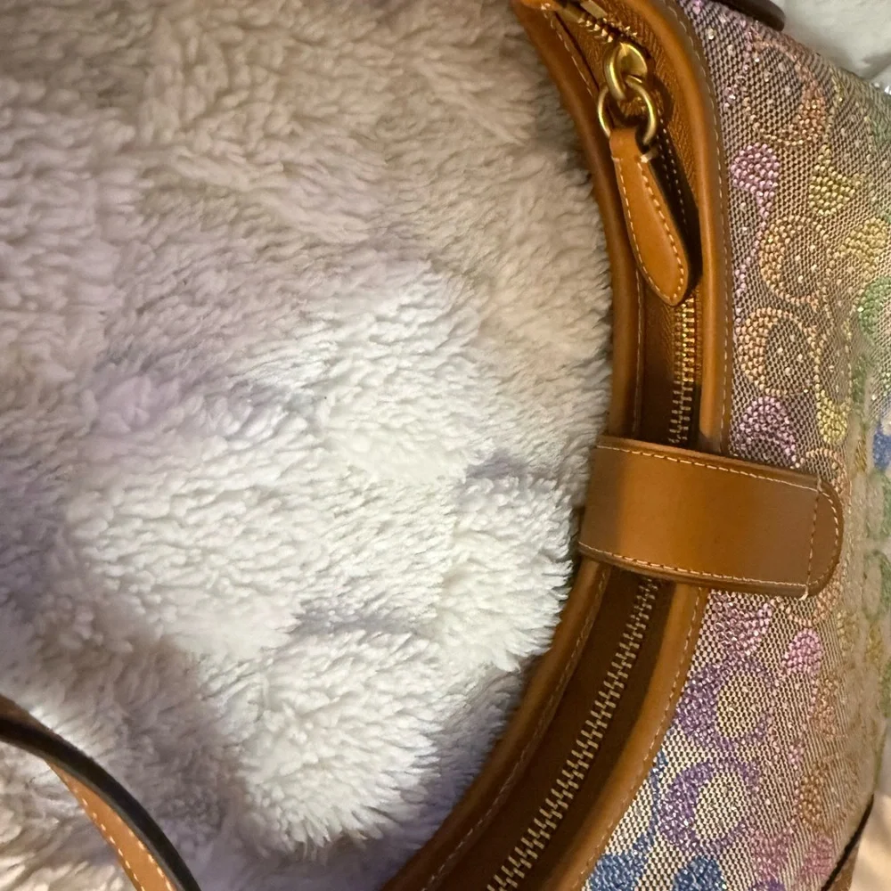 Coach Rainbow Candy Crystal Hamptons Hobo Bag - Picture 14 of 16